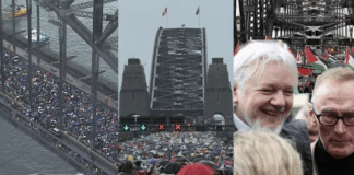 Some of the estimated 100,000 to 300,000 people - depending on whose estimate - who protested yesterday on the Sydney Harbour Bridge over Israel's genocidal war on Gaza