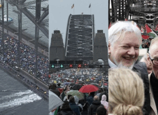 Some of the estimated 100,000 to 300,000 people - depending on whose estimate - who protested yesterday on the Sydney Harbour Bridge over Israel's genocidal war on Gaza