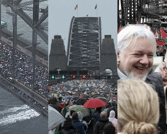 Some of the estimated 100,000 to 300,000 people - depending on whose estimate - who protested yesterday on the Sydney Harbour Bridge over Israel's genocidal war on Gaza