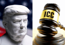 Trump’s shielding of Netanyahu and his advisers from criminal proceedings through sanctions and threats to members of the court is akin to both aiding and abetting crimes under the Rome Statute