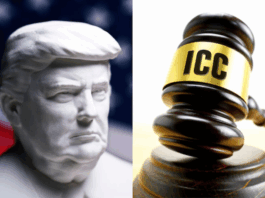 Trump’s shielding of Netanyahu and his advisers from criminal proceedings through sanctions and threats to members of the court is akin to both aiding and abetting crimes under the Rome Statute