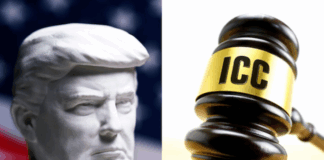 Trump’s shielding of Netanyahu and his advisers from criminal proceedings through sanctions and threats to members of the court is akin to both aiding and abetting crimes under the Rome Statute