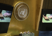 The UN General Assembly
