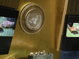 The UN General Assembly