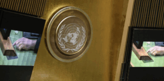 The UN General Assembly