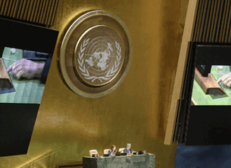 The UN General Assembly