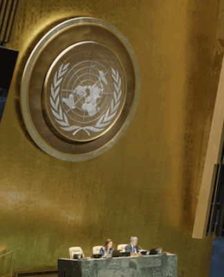 New Zealand challenged to vote for Israel’s suspension at UN The UN General Assembly