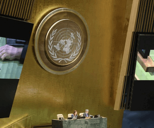 The UN General Assembly