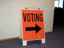 Local body election candidates