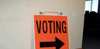 Local body election candidates