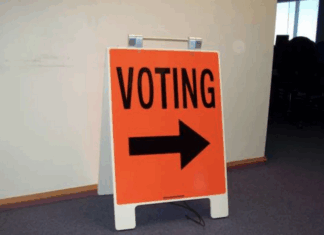Local body election candidates
