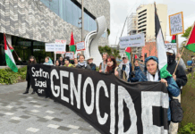 PSNA condemns Collins for ‘can’t be trusted’ stance on Gaza over satellites Protesters accusing Rocket Lab and the New Zealand government of being complicit in Israel's genocide in Gaza