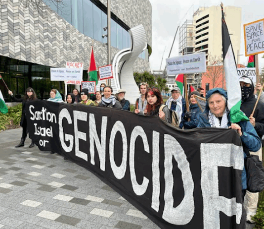 PSNA condemns Collins for ‘can’t be trusted’ stance on Gaza over satellites Protesters accusing Rocket Lab and the New Zealand government of being complicit in Israel's genocide in Gaza