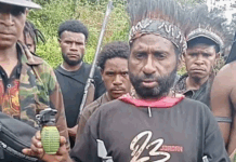 Four members of the West Papua National Liberation Army (TPNPB) were reportedly killed in drone bombings