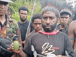 Four members of the West Papua National Liberation Army (TPNPB) were reportedly killed in drone bombings