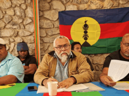 Pro-independence FLNKS representative in the French National Assembly Emmanuel Tjibaou