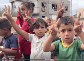 After Gaza ceasefire, ‘massive political pressure’ needed to prevent Israel from restarting war Palestinian children celebrate news of the Gaza ceasefire
