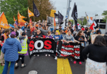 Protesters in New Zealand's "mega strike" today