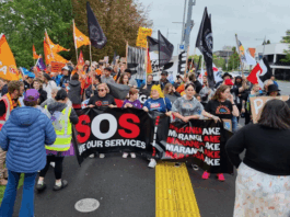 Protesters in New Zealand's "mega strike" today