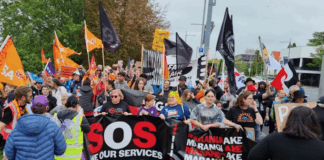 Protesters in New Zealand's "mega strike" today