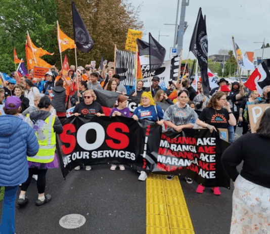 Protesters in New Zealand's "mega strike" today