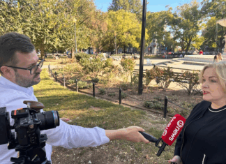 PSNA slams NZ defence minister Collins over genocide ‘dog-whistling’ NZ Defence Minister Judith Collins