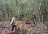 Kiwirok villagers show some of the areas that have been bombed in the attack on their village