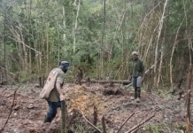 Kiwirok villagers show some of the areas that have been bombed in the attack on their village