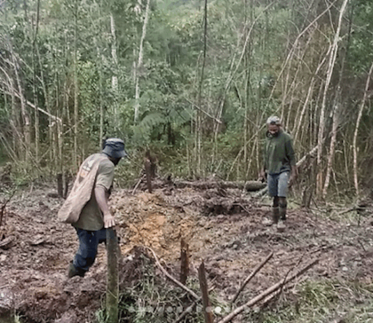 Kiwirok villagers show some of the areas that have been bombed in the attack on their village