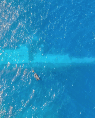 RNZN divers surveying the area around HMNZS Manawanui