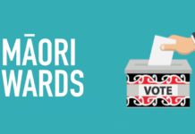 While Māori are guaranteed representation through the Māori electoral roll at the national level . . .