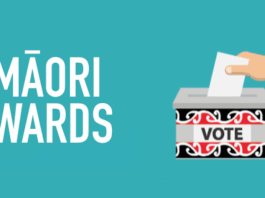 While Māori are guaranteed representation through the Māori electoral roll at the national level . . .