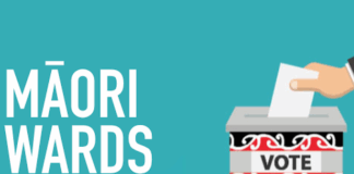 While Māori are guaranteed representation through the Māori electoral roll at the national level . . .