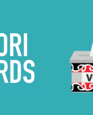 While Māori are guaranteed representation through the Māori electoral roll at the national level . . .