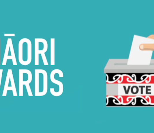 While Māori are guaranteed representation through the Māori electoral roll at the national level . . .