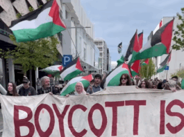 Protesters in Ōtautahi Christchurch calling for sanctions against Israel's crimes in Gaza
