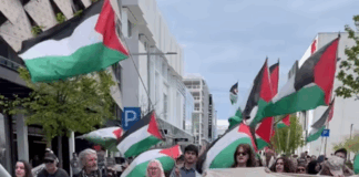 Protesters in Ōtautahi Christchurch calling for sanctions against Israel's crimes in Gaza