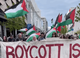 Protesters in Ōtautahi Christchurch calling for sanctions against Israel's crimes in Gaza
