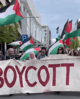 Protesters in Ōtautahi Christchurch calling for sanctions against Israel's crimes in Gaza