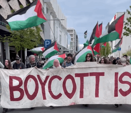 Protesters in Ōtautahi Christchurch calling for sanctions against Israel's crimes in Gaza