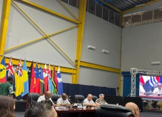 Blue Pacific’s unfinished business – West Papua and regional integrity The Pacific's inaction is particularly striking when compared to Bougainville