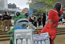 New Zealand pro-Palestine protesters against Israel's genocidal attacks on Gaza