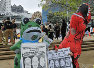 PSNA slams Israeli politician over ‘sneaking into NZ’ during Pacific friendship trip New Zealand pro-Palestine protesters against Israel's genocidal attacks on Gaza