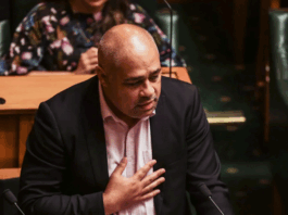 Opposition Labour's Peeni Henare