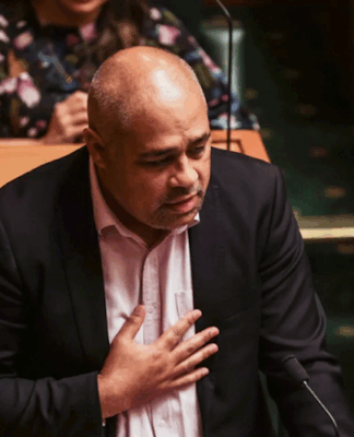 Opposition Labour's Peeni Henare