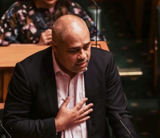 Opposition Labour's Peeni Henare