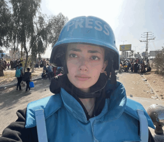 Palestinian journalist and author Plestia Alaqad