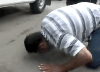 Kia Ora Gaza marks 15th anniversary of Viva Palestina 5 solidarity convoy Siege busting