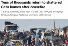 Palestinians, forcibly displaced to the southern part of Gaza by Israel, make their way north