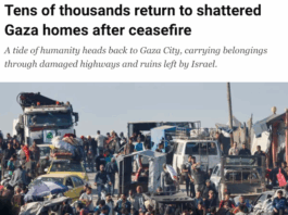 Palestinians, forcibly displaced to the southern part of Gaza by Israel, make their way north